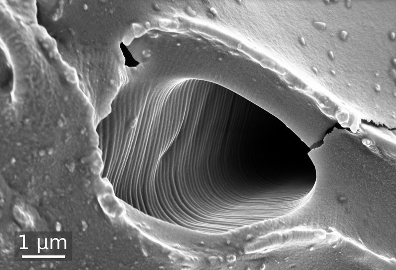 Eine der Tunnelröhren im Silikonmaterial in 12.000-facher Vergrößerung unter dem Rasterelektronenmikroskop.