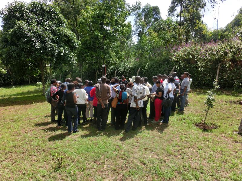 International meeting at Nkweseko research station near Mount Kilimanjaro. 
