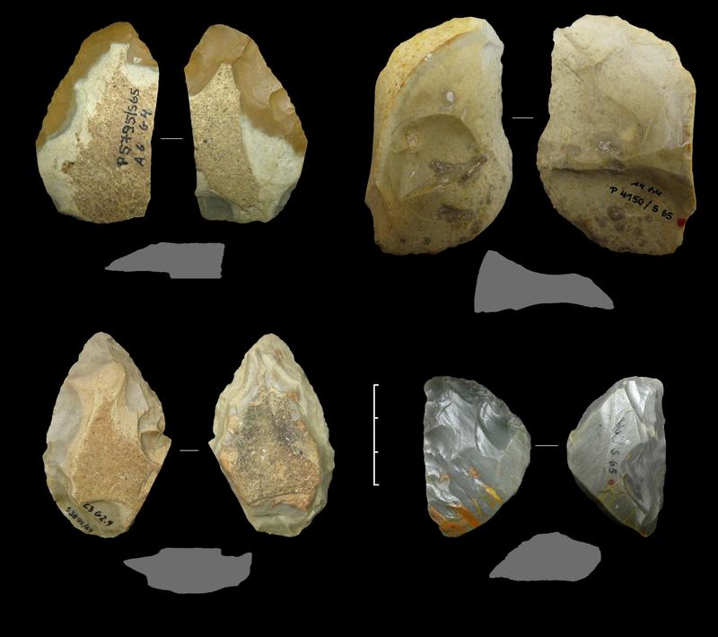 Verschiedene Keilmesser sowie ein einfaches Messer mit Rücken (oben rechts) aus der Zeit der Neandertaler vor 60.000 bis 44.000 Jahren aus der Sesselfelsgrotte bei Kelheim (G-Schichten, Grabungen Prof. Freund, FAU; Foto: D. Delpiano, UNIFE)