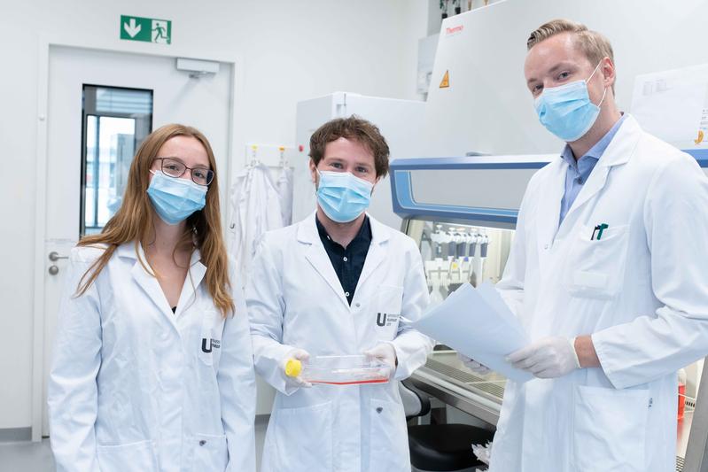 Carina Conzelmann, Dr. Janis Müller und Rüdiger Groß (v.l.) forschen am Institut für Molekulare Virologie der Ulmer Universitätsmedizin