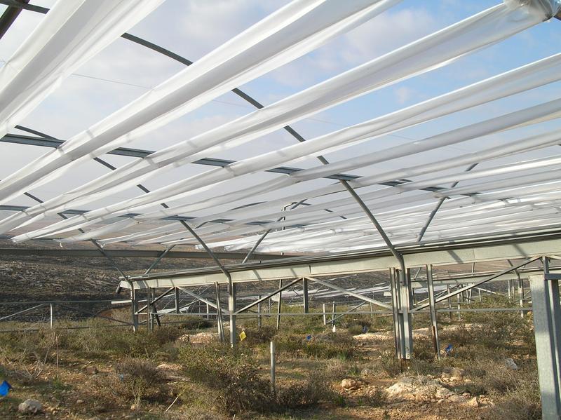 Langzeitexperiment im Freiland in einer israelischen Halbwüste: Über 12 Jahre hinweg wurde das Wachstum und Gedeihen von Pflanzengemeinschaften bei experimentell veränderten Niederschlägen untersucht. Diese Dächer halten 30 Prozent des Niederschlags ab.