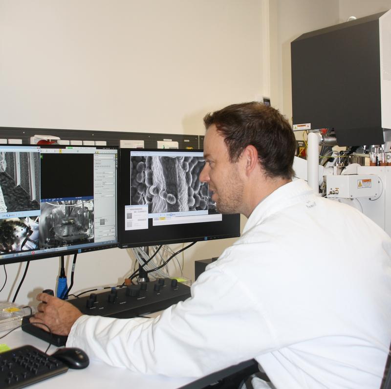 Prof. Dr.-Ing. Gregor Lang examining microbial infestation via scanning electron microscopy. 