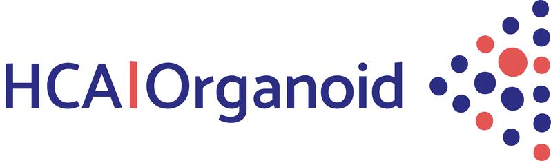 HCA|Organoid logo