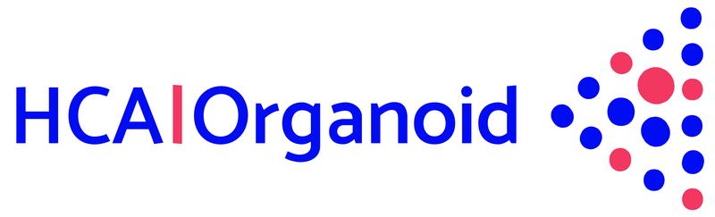 HCA|Organoid logo