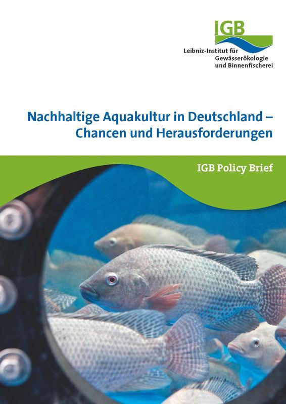 Hat die Nachhaltige Aquakultur in Deutschland eine Zukunft? Der neue IGB Policy Brief beleuchtet Chancen und Herausforderungen.