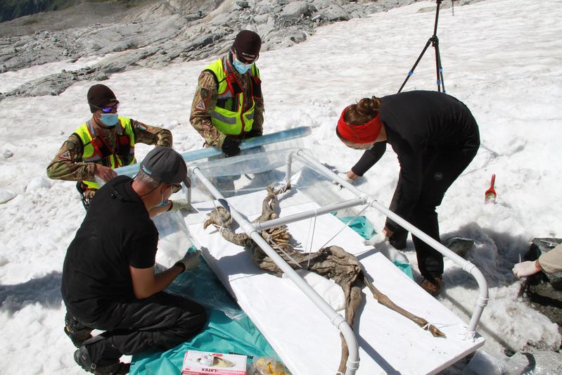 Researchers of Eurac Research (Bolzano) and the Italian Army (Comando Truppe Alpine) recovering the chamois. 