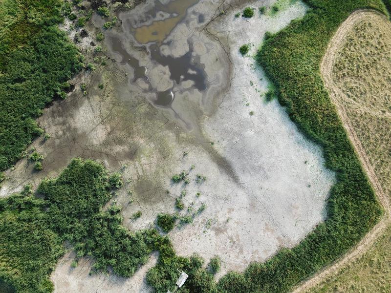 Im Sommer 2018 trockengefallene Wasserfläche im Polder Zarnekow, einem der Untersuchungsstandorte. In den folgenden Wochen hat sich auf der Fläche rasch neue Vegetation angesiedelt und dabei effektiv Kohlendioxid gespeichert.