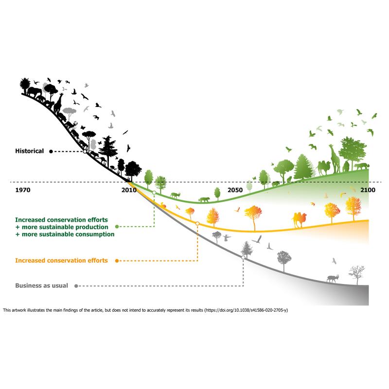 Bending the curve of biodiversity loss