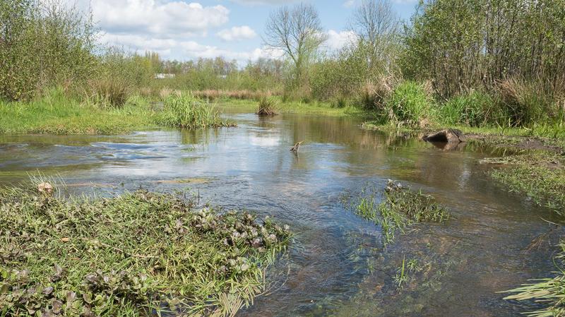 River restoration at the Rotbach near Dinslaken, Germany