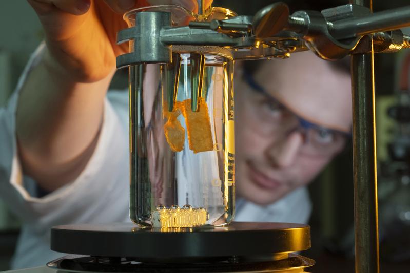 Dr. Stefan Zechel from the University of Jena studies the shape memory behaviour of plastics. It is shown how a plastic in a deformed shape (left) returns to its original shape (right).