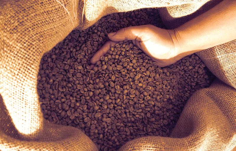 Organically grown coffee contains fewer chlorogenic acids than conventional coffee: this is the result of a new study of the work group of Nikolai Kuhnert. 