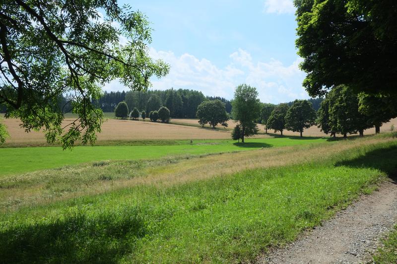 Das Obere Vogtland, hier die Gemeinde Bad Brambach, ist ein idyllischer Landstrich. Doch besonders kleine und mittlere Gemeinden haben zunehmend mit Problemen infolge Klimawandels zu kämpfen. 