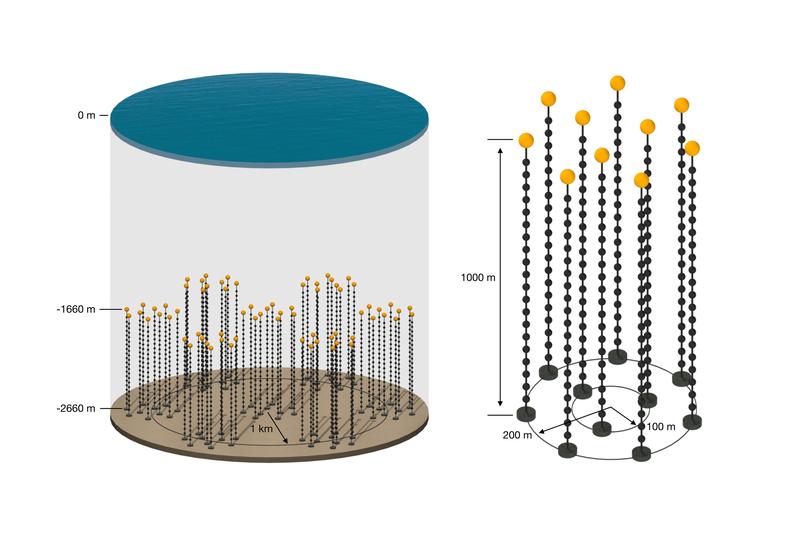 Skizze des geplanten Neutrino-Teleskops P-ONE im Pazifischen Ozean (links). Das Teleskop soll modular aufgebaut sein und aus sieben gleichen Detektorsegmenten bestehen (rechts), wovon das erste in 2023/24 installiert werden soll.