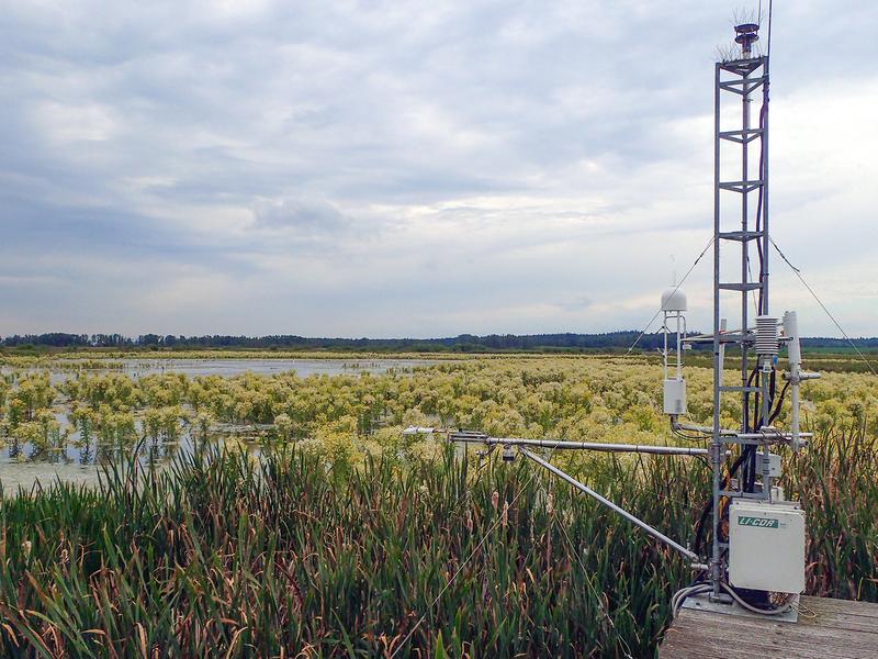 Instrumentation for determining greenhouse gas flows (eddy-covariance system) with a view to the Zarnekow polder, which has become wet again and is much more overgrown, in June 2020.