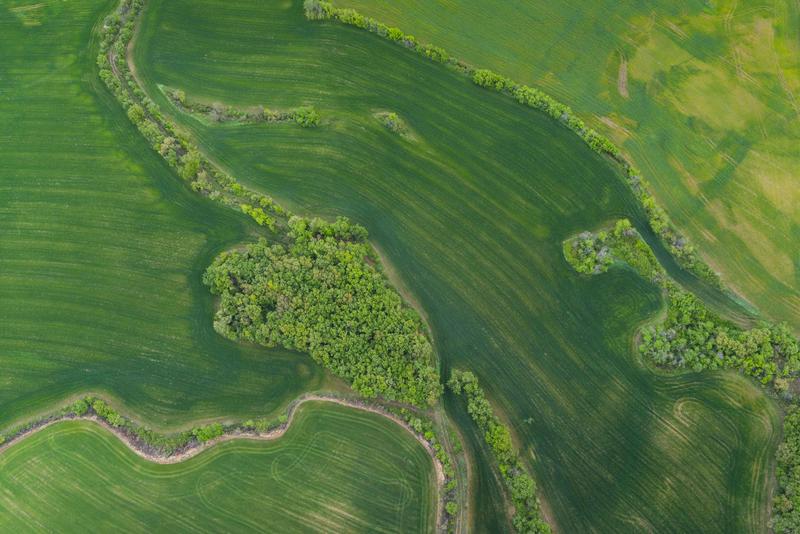 Natürliche Lebensräume, die eine hohe Zahl von Arten beherbergen können, werden zunehmend von landwirtschaftlicher Nutzung bedrängt.