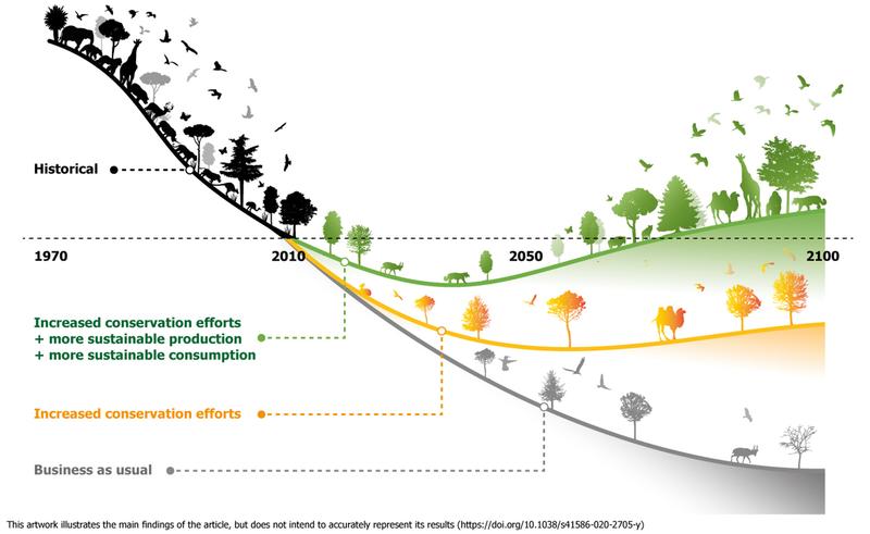 Die gute Nachricht ist: Der Abwärtstrend der globalen Biodiversität kann noch immer umgekehrt werden.