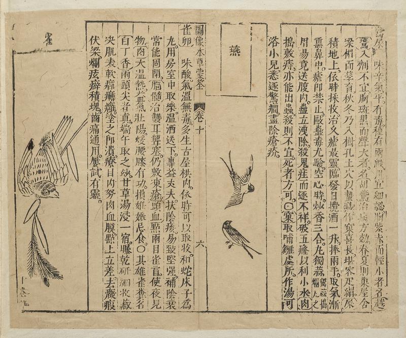 Chen Jiamo u.a., „Bebilderte Aufhebung der Unwissenheit in der Drogenkunde“, Jinling (Nanjing), 1628