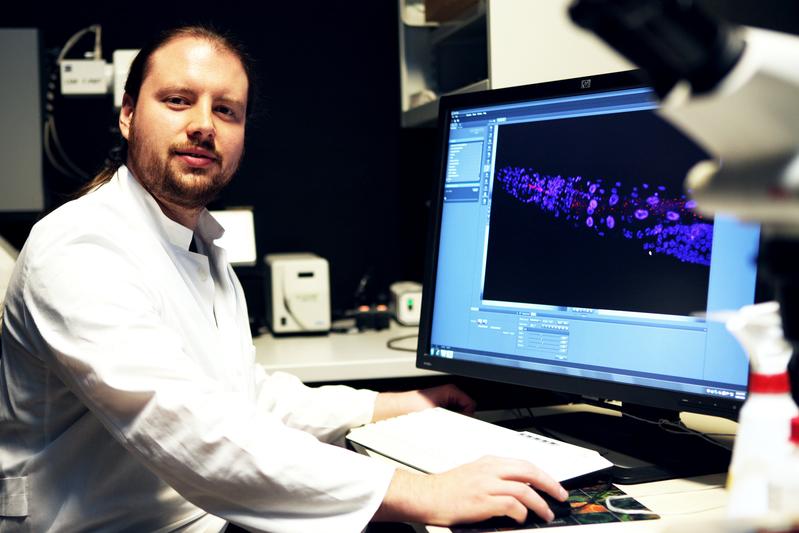 Erstautor Dr. Philipp Dirksen untersuchte die Fähigkeit einzelner Bakterien, sich im Darm des Wurms anzusiedeln und wie sich verschiedene Bakterien in der natürlichen Wirtsumgebung zueinander verhalten.