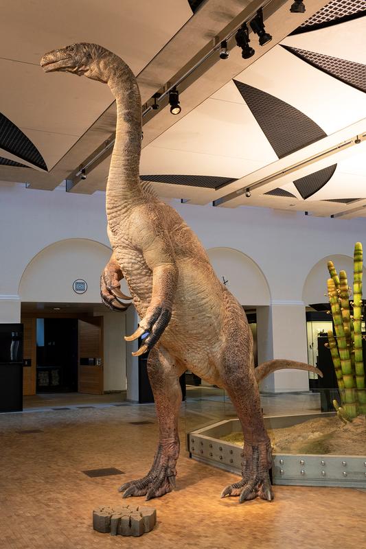 Plateosaurus