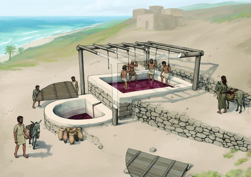 Archaeological reconstruction of the wine press