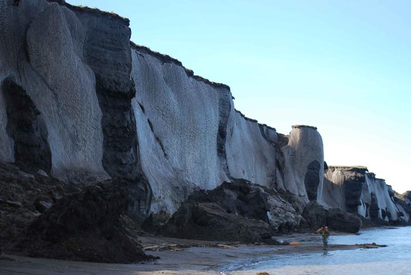 Side-view on the ice-rich Sobo-Sise cliff with detached blocks on the beach of the Lena river. 