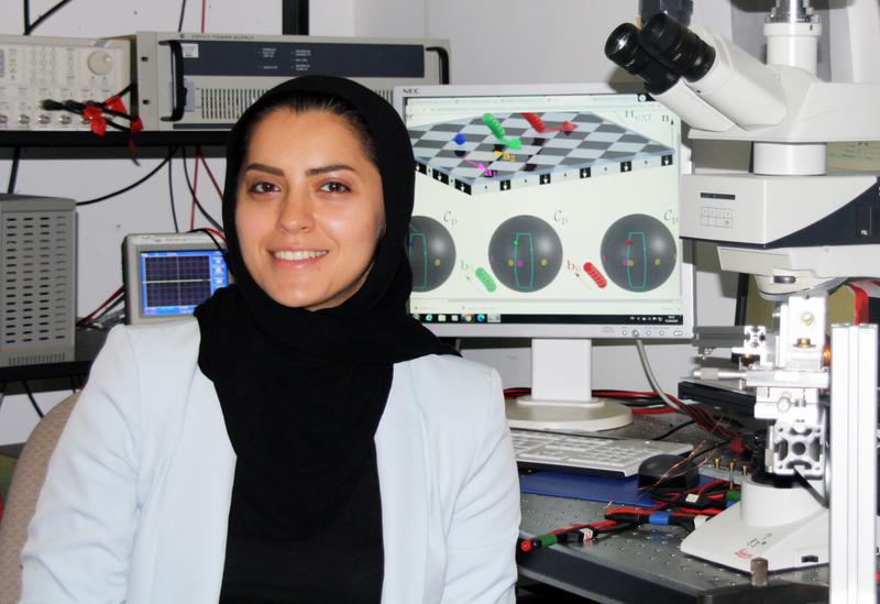 First author and doctoral student Mahla Mirzaee-Kakhki, University of Bayreuth. 
