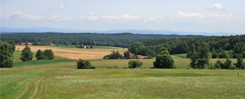 Donaurandhöhen mit Hintergrund der Mittelgebirgskette des Bayerischen Waldes