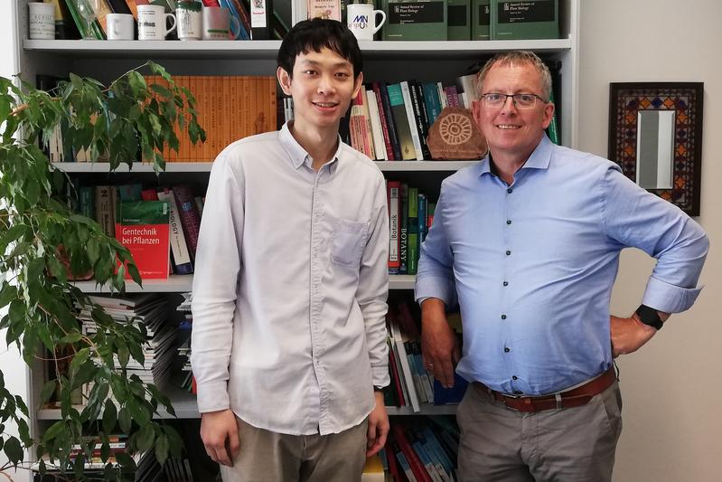 Qin Yang (links), Doktorand bei Prof. Frank Kempken (rechts), konnte insgesamt sechs verschiedene Eisosom-Bestandteile sowie fünf weitere damit verbundene Proteine bei N. crassa beschreiben.