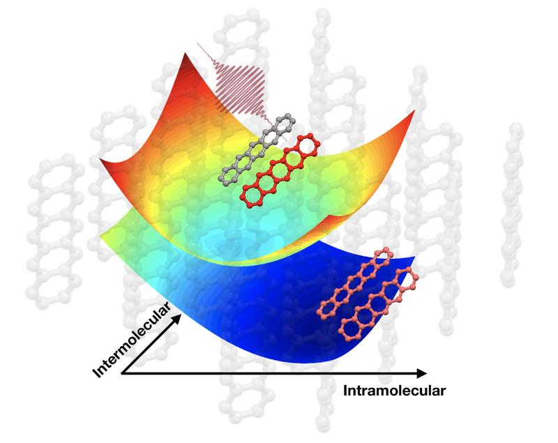 Quantum vibrational coherences drive ultrafast singlet fission