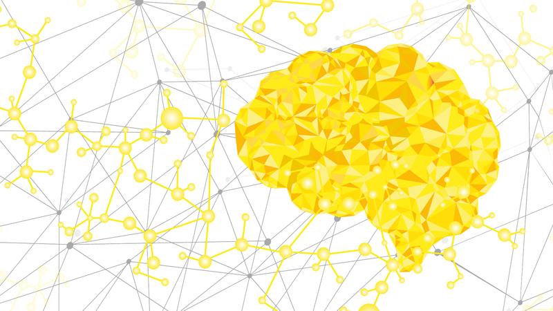 Sartorius and DFKI have already been working together for some time in a joint research laboratory on the development of future-focused tools and AI applications for the production of advanced medications.