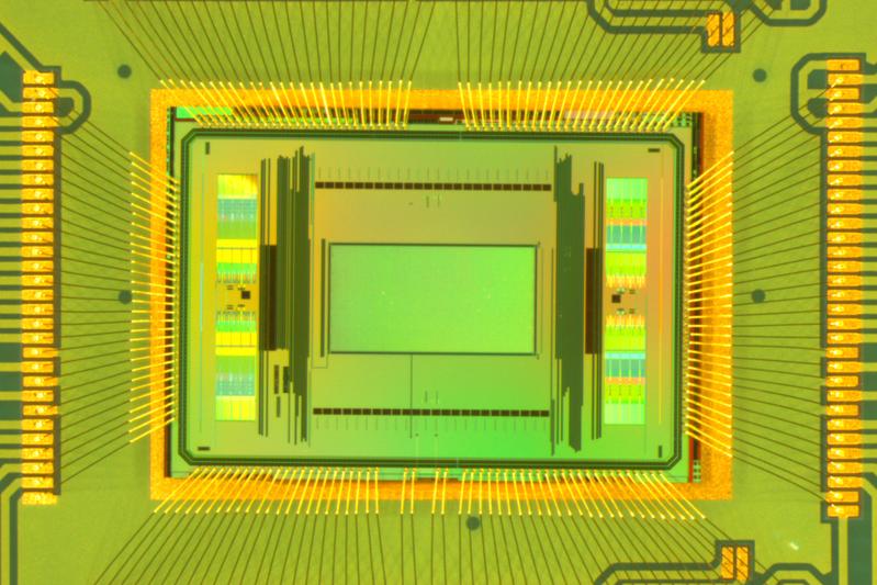 Nahaufnahme des neuen Chips. Das Messfeld in der Bildmitte (grün) misst 2 x 4 Millimeter.