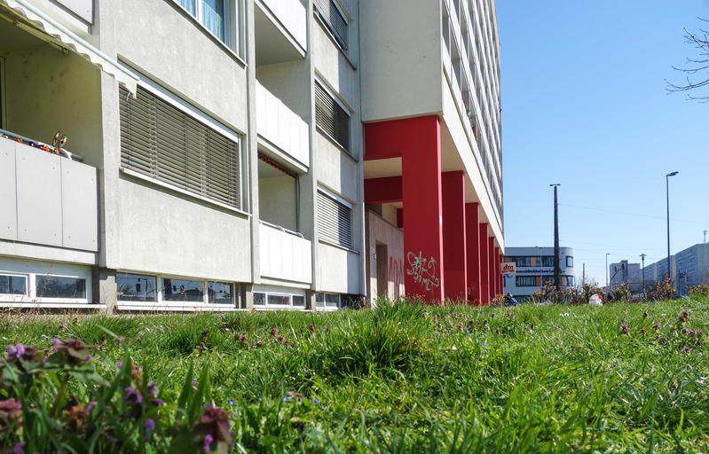 Städtischer Grünstreifen vor einem Wohngebäude in Leipzig.