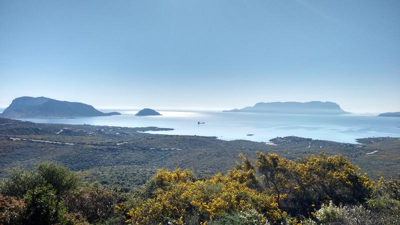 Die Insel Tavolara liegt nordöstlich vor Sardinien – hier trafen sichin der frühen Eisenzeit  Inselbewohner und Festlandbewohner für den Warenaustausch.