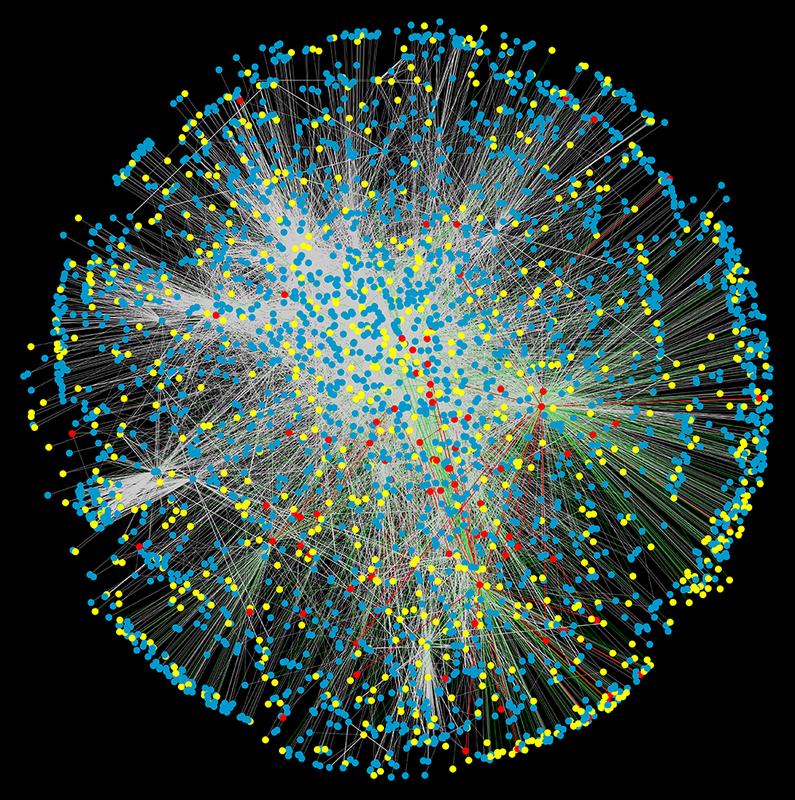 Das experimentell ermittelte Protein-Protein-Interaktionsnetzwerk NeuroNet1.0 (Bilderklärung im Anhang)