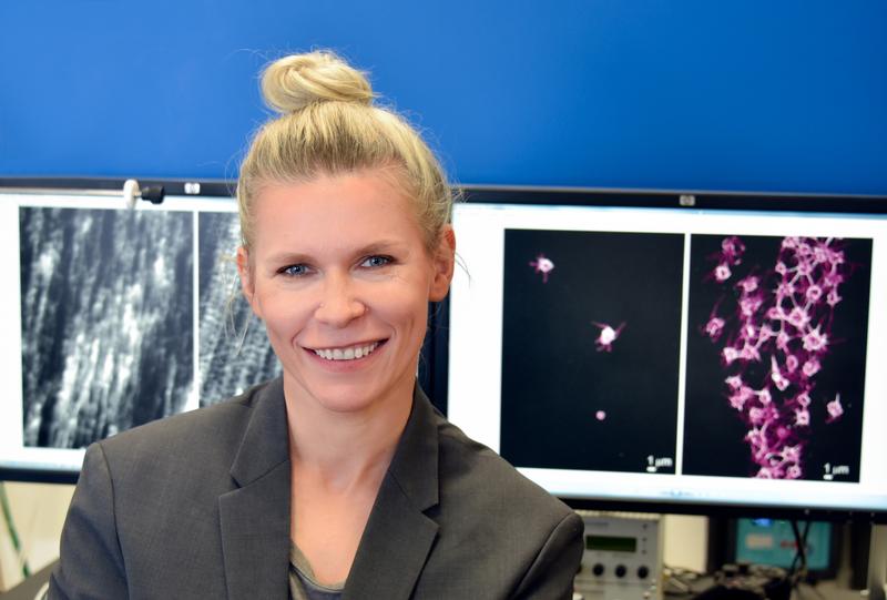 Die Jenaer Materialwissenschaftlerin Dr. Izabela Firkowska-Boden vor Bildschirmen, die nanostrukturierte Oberflächen und Thrombozyten zeigen. 