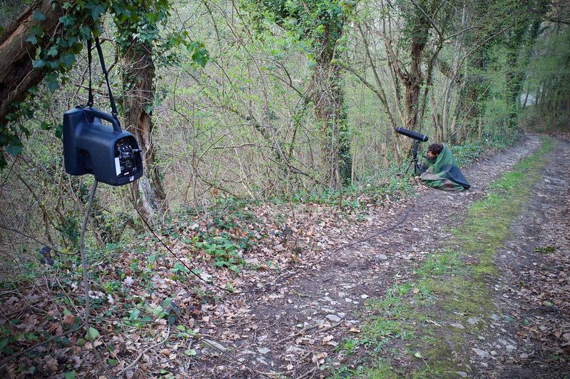 The researcher performing an acoustic playback experiment on a great spotted woodpecker. The loudspeaker is attached on a branch.