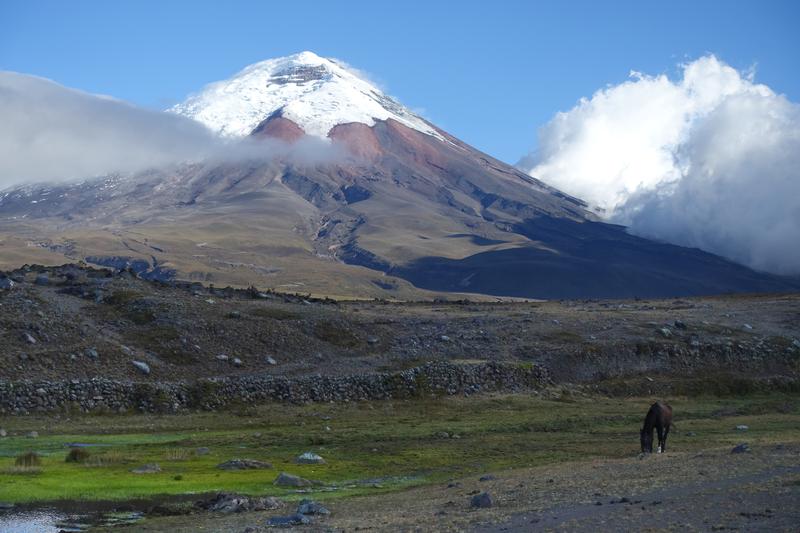 Im Nationalpark Cotopaxi in Ecuador. Foto: Samuel Hoffmann. 