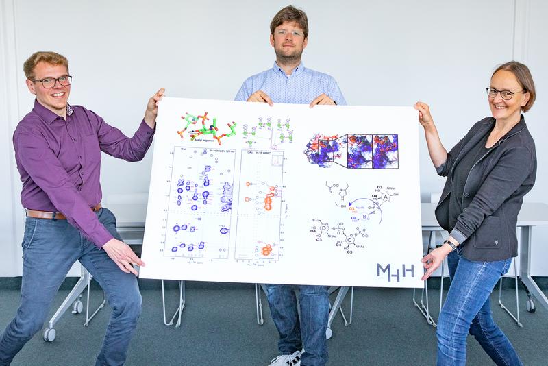 Dr. Timm Fiebig, Dr. Johannes Cramer und PD Dr. Martina Mühlenhoff (v.l.) mit einer Darstellung der chemischen Veränderung der Kapselpolysaccharide des Meningitis-Bakteriums. 