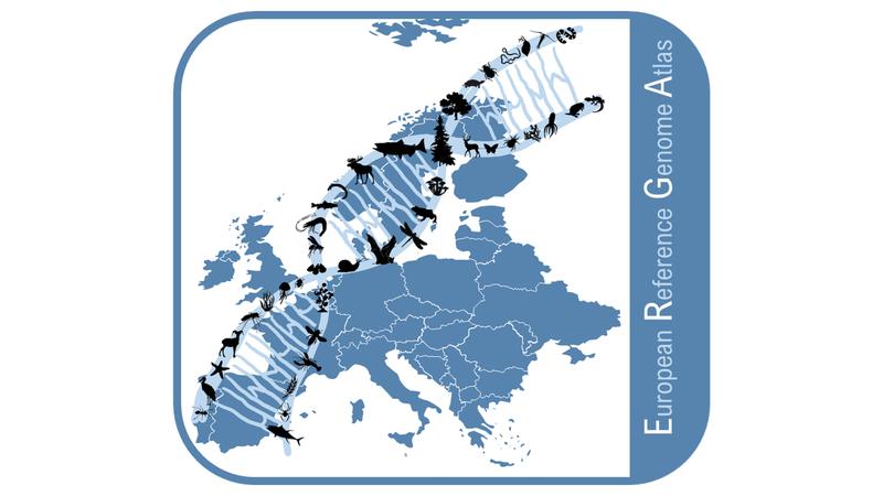 Logo: European Reference Genome Atlas