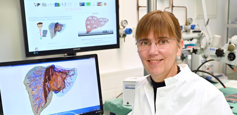 Die von Prof. Dr. Uta Dahmen am Uniklinikum Jena koordinierte Forschungsgruppe will Durchblutung und Funktion der Leber mit großer räumlicher Auflösung in gesundem und krankem Zustand modellieren.