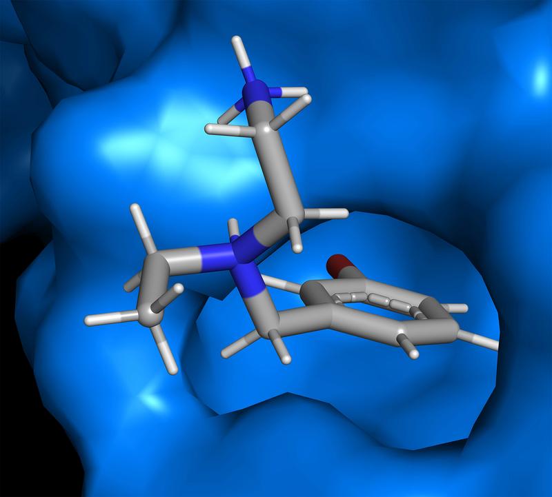 Interaktion des Interface Inhibitors Compound 8 innerhalb der Bindungstasche der Proteinkontaktfläche.