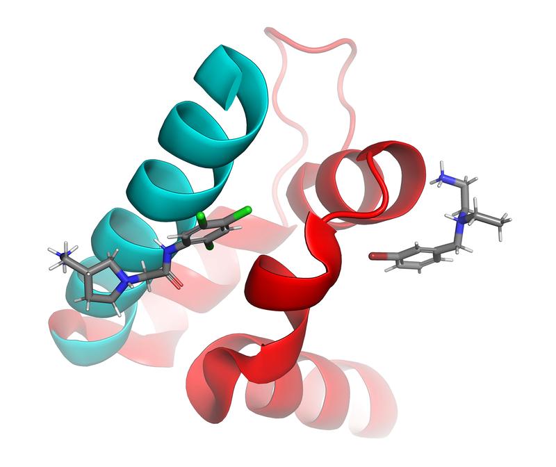 Interaction of interface inhibitors compound 8 and compound 19 within their binding pockets of the protein contact surface.