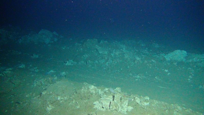 Plough tracks are still clearly visible on the seafloor of the DISCOL area 26 years after the disturbance.  