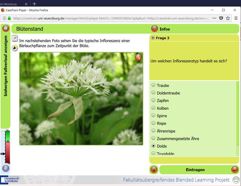 CaseTrain-Fallbeispiele sollen vor allem das genaue Betrachten von Pflanzen und die Verwendung der Benennungen und Fachausdrücke schulen.