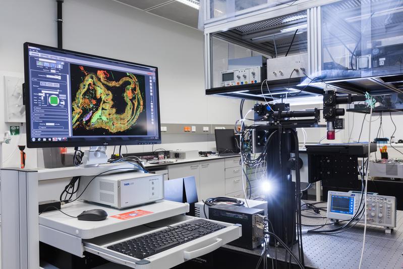 Ein Forscherteam des Leibniz-IPHT, der Universität und dem Universitätsklinikum Jena sowie vom Fraunhofer-Institut für Optik und Feinmechanik hat ein optisches Verfahren entwickelt, das Krebsgewebe sichtbar macht.