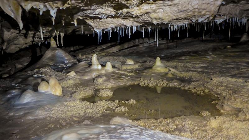Um die Ursachen für das Aussterben der Megafauna zu identifizieren, untersuchten die Forscher*innen Stalagmiten aus der La Vierge Höhle auf Rodrigues. So erhielten sie ein genaues Bild der Klimaentwicklung der vergangenen 8000 Jahre.