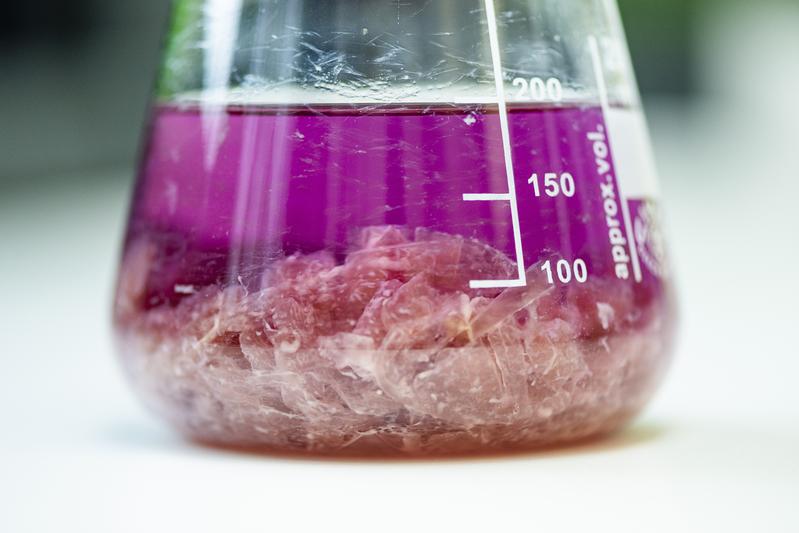  Durch Extraktionstechniken werden mit geeigneten Lösemitteln die Stoffwechselprodukte aus dem Nährmedium herausgelöst. Die flüssige Phase kann dann auf ihre Inhaltsstoffe hin analysiert werden.