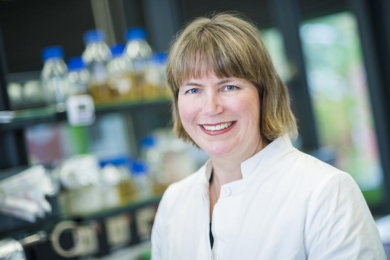Julia Bandow leitet den Lehrstuhl Angewandte Mikrobiologie und leitet das Center für systembasierte Antibiotikaforschung.