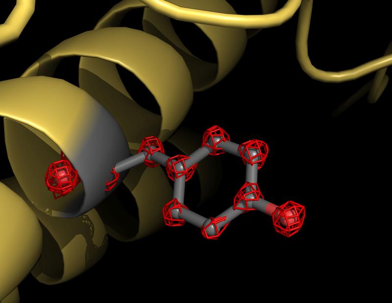 Die Kryo-Elektronenmikroskopie hat erstmals einzelne Atome in einem Protein sichtbar gemacht. Die Cartoon-Darstellung zeigt einen Teils des Apoferritin-Proteins (gelb), bei dem eine Tyrosin-Seitenkette grau mit einzelnen Atomen (rot) hervorgehoben ist. 