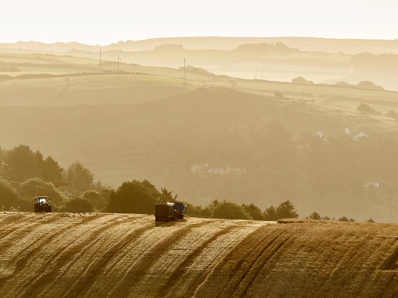 Durch den verstärkten Eintrag von Kohlenstoff in den Boden ließen sich der Klimawandel verlangsamen und gleichzeitig die Ernteerträge steigern, betont das internationale Forscherteam.